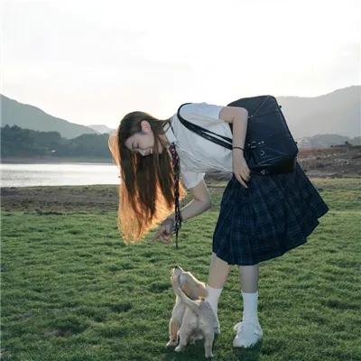 狮子护卫队第一季